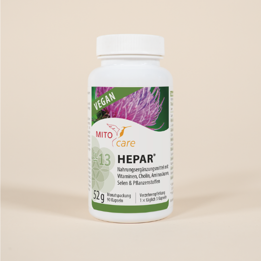 Hepar für Leber & Fettstoffwechsel Hepar